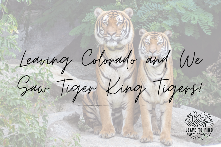 Leaving Colorado and We Saw Tiger King Tigers!
